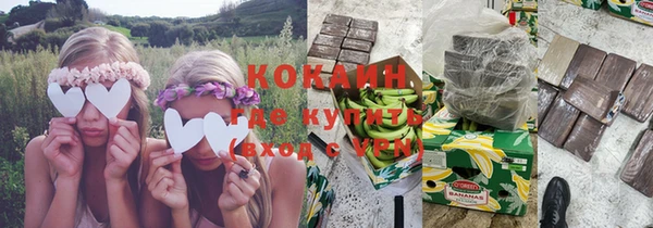 молекула духа Алексеевка