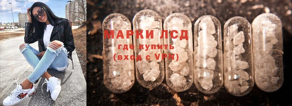 тгк Нея